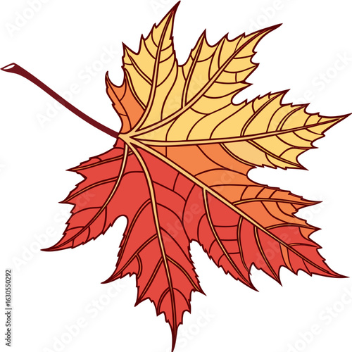 Colorful maple leaf autumn season isolated on white background