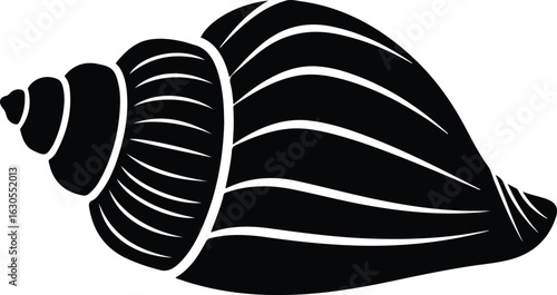 Elegant seashell illustration featuring a spiral shape and intricate details evoking the beauty of the ocean