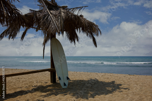 Fototapeta Naklejka Na Ścianę i Meble -  surfboard on a tropical beach
