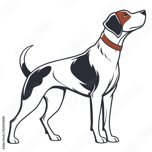 vector illustration of a dog with a white background.