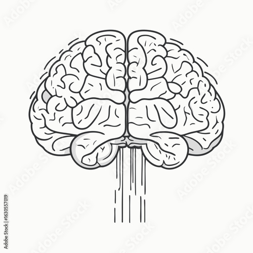 Human Brain Line Icon