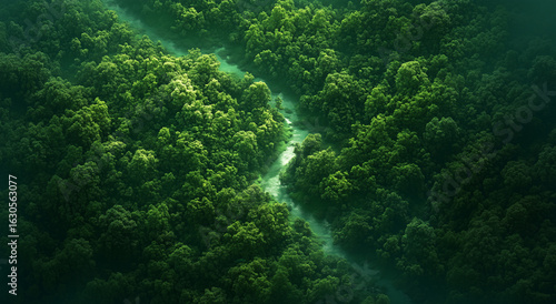 Green Landscape