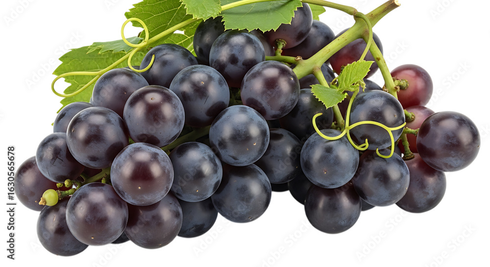 Fototapeta premium A bunch of ripe dark grapes isolated on transparent background