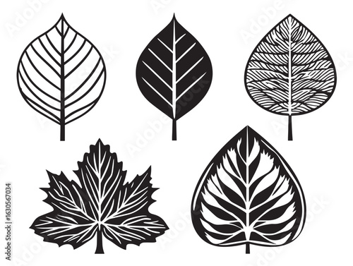 Elegant foliage icon pack in sleek 2D vector