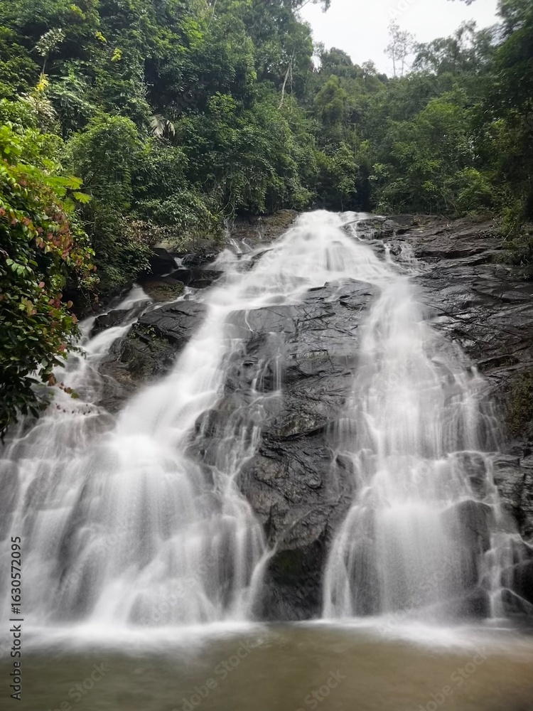 Fototapeta premium waterfall in the forest