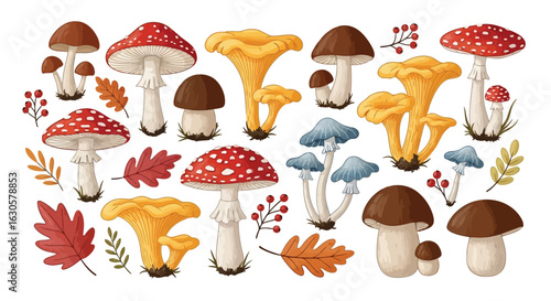 Vector illustration of assortment of forest mushrooms, including fly agaric and chanterelles, with autumn leaves and berries, depicted in a colorful illustration