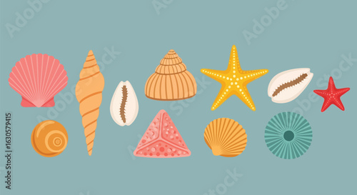 Vector illustration of a vibrant collection of assorted seashells and starfish, including spiral, fan, and cowrie shells, on a solid blue background