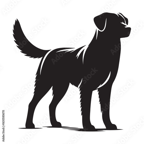 Elegant dog silhouette with a playful stance perfect for pet themed designs silhouette