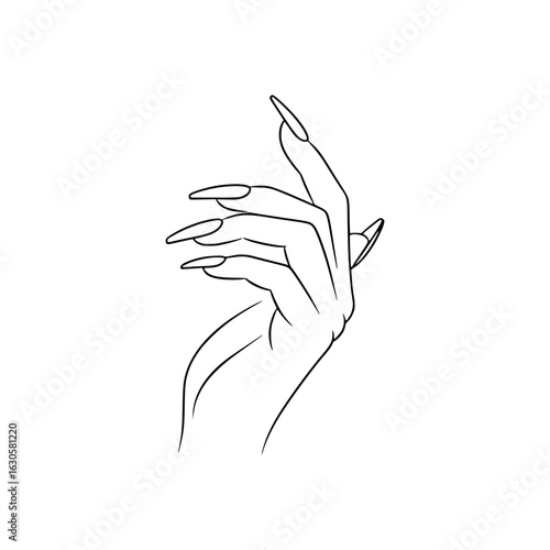 Vector outline of a female hand with long nails