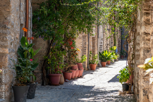 Fototapeta Naklejka Na Ścianę i Meble -  Mesta medieval village. Chios Island, Greece. Narrow cobblestone alley, traditional architecture stone houses and flowers