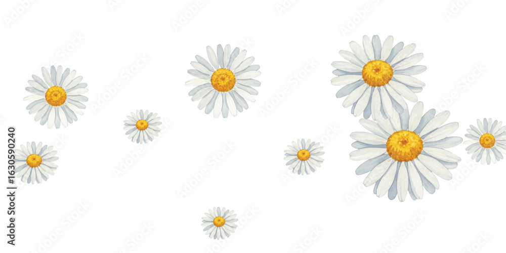 Fototapeta premium Adobe Illustrator Artwork