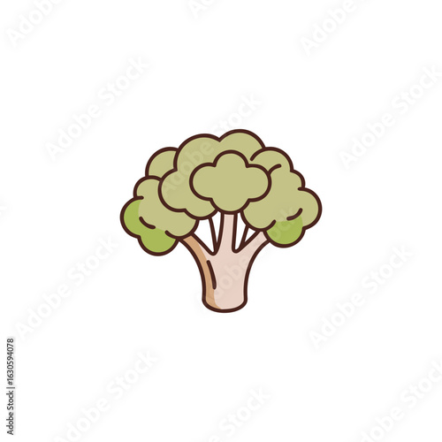 A broccoli vegetable icon Colored outline art vector illustration.