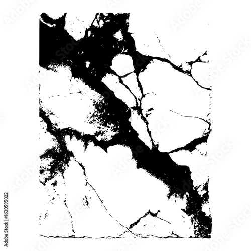 Abstract black and white design featuring a cracked or marbled texture with contrasting elements