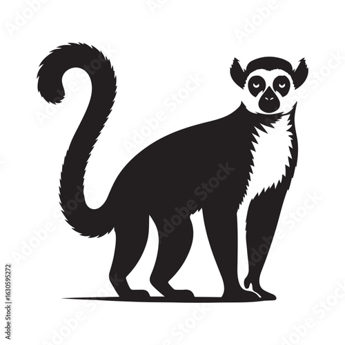 Distinctive silhouette of a ring tailed lemur with a long striped tail in profile