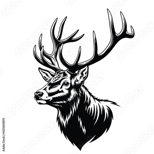 Vector art of majestic deer head with large antlers, detailed illustration