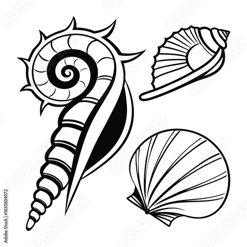 Sea shells vector illustration cartoon nature animal design pattern art