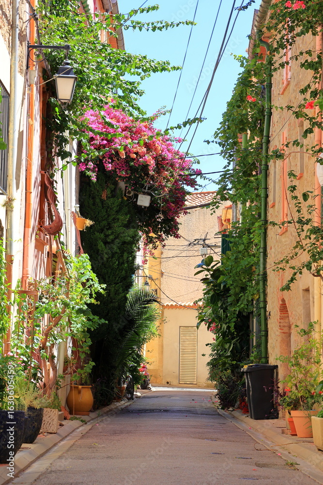 Fototapeta premium Argeles-sur-Mer's quaint streets, potted flowers and vivides colors charming tourists