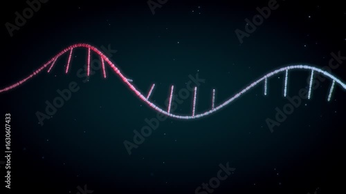 Single-stranded RNA helix transforms into double-stranded DNA, key in genetics research - 3d illustration