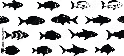 Flat fish silhouettes and line art collection, a comprehensive set of different fish species, vector illustration for graphic design projects.