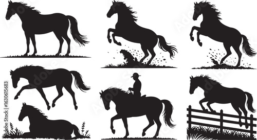 Silhouette Collection of Horses in Various Poses on Transparent Background Vector Illustration