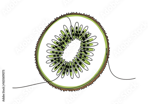Vector art of a single line drawing of a kiwi fruit slice on isolated background