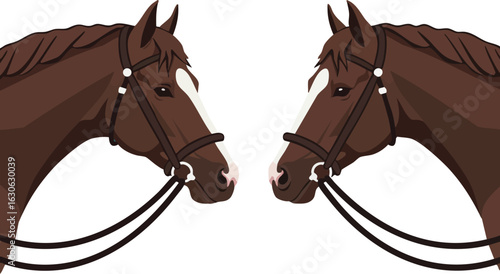 Two brown horses facing each other with bridles on white background vector illustration for equestrian themes 