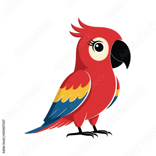 red parrot on white background
