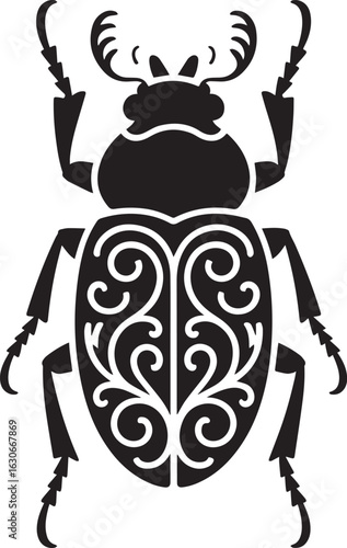Black beetle with ornate patterned wings and segmented legs insect white