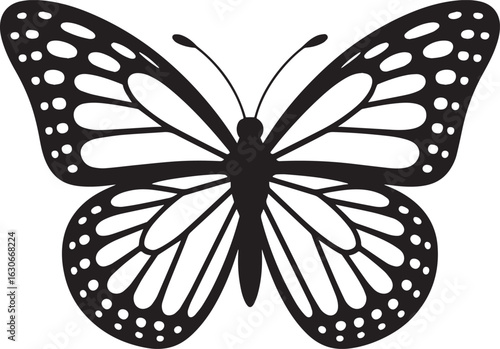 Black butterfly with white spots and open wings insect
