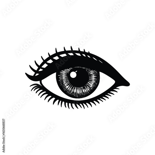 Detailed eye eyelashes eyeball pupil vision sight look gaze silhouette vector illustration