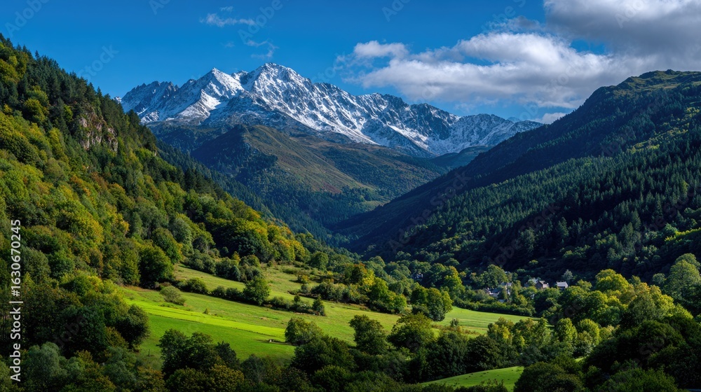 Fototapeta premium Majestic mountain valley with snowy peaks and forest