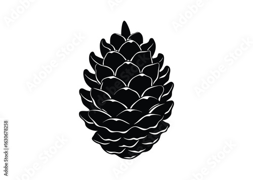 Pine cone silhouette black vector white background