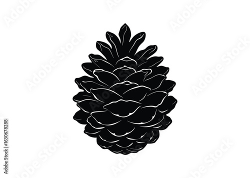 Pine cone silhouette black vector white background