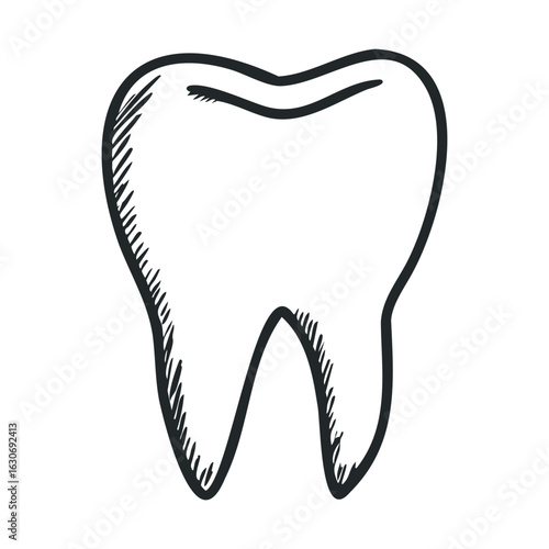 Tooth anatomy design for dental education and health awareness