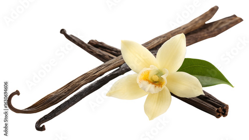 Bourbon vanilla pod and vanilla flower on transparent background
