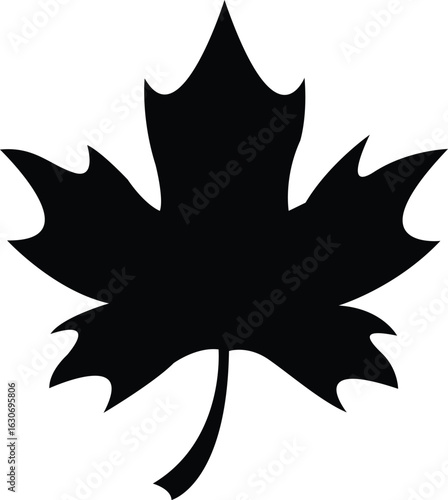 Oriental plane chinar leaf vector icon black and white
