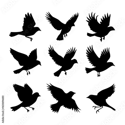 Nine Flying Bird Silhouettes Set vector
