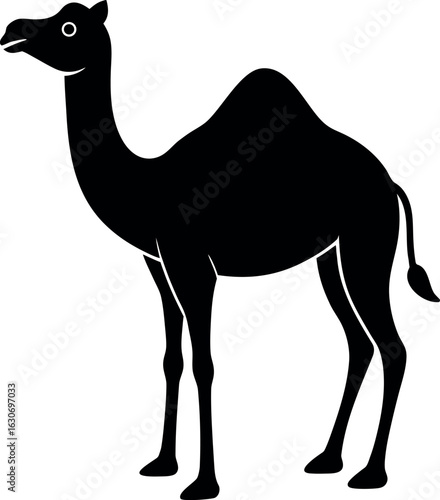 Camel Silhouette
