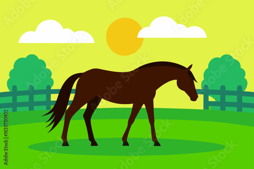 horse grazing in sunny field