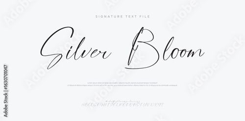 Silver Bloom, Hand drawn vector alphabet. Modern monoline signature script font. Elegant Signature Font. Best Alphabet Beautiful Calligraphy Signature Font. vector illustration 
