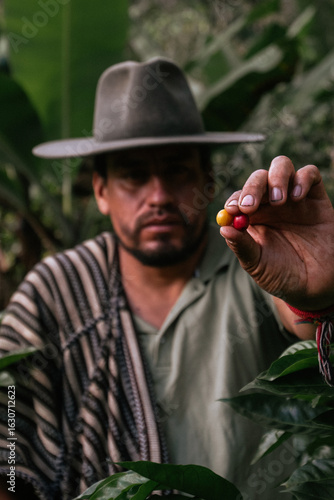 Male farmer harvesting on his coffee plantation