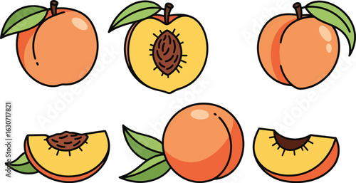 Illustration of fresh peaches isolated on white background