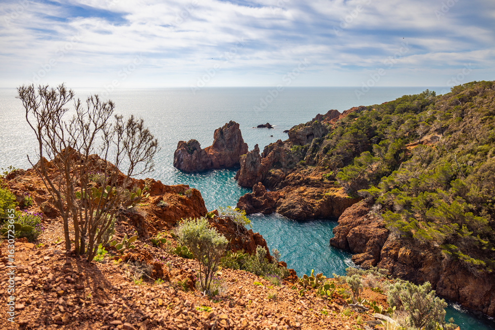 Fototapeta premium ocean side