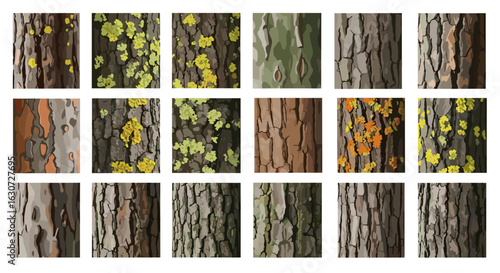 Diverse bark textures: a collage of natural forest surfaces.
