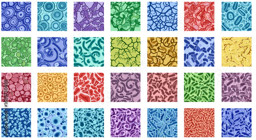 Varied and vibrant microbiological patterns creating an abstract, colorful collage