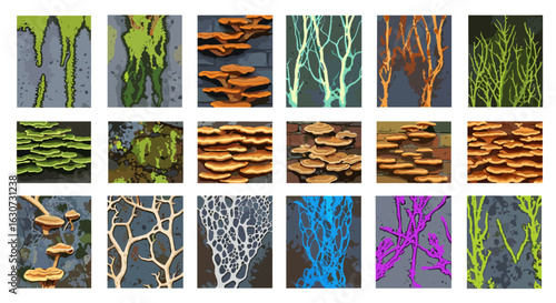 Diverse fungal growth patterns on textured surfaces exhibit fascinating natural artistry