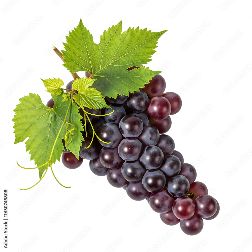 Fototapeta premium Fresh bunch of dark purple grapes with green leaves