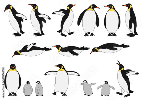 コウテイペンギンの色々なポーズのイラストのセット_主線あり
