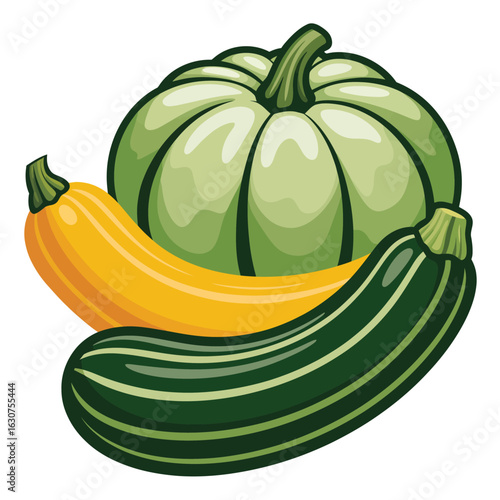 Fresh green and yellow squash and pumpkin harvest