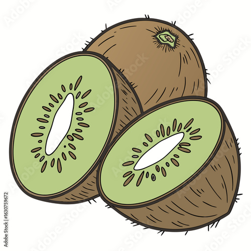 Fresh ripe kiwi fruit illustration on a clean white background